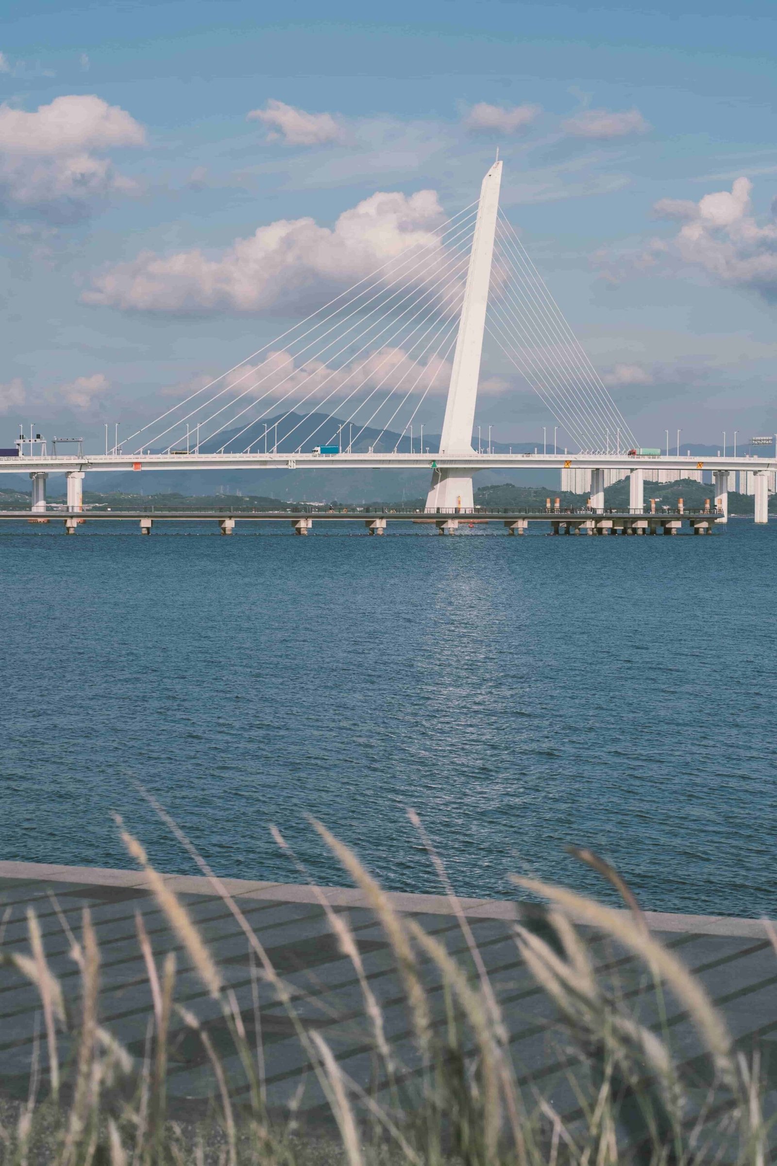 Shenzhen Harbour